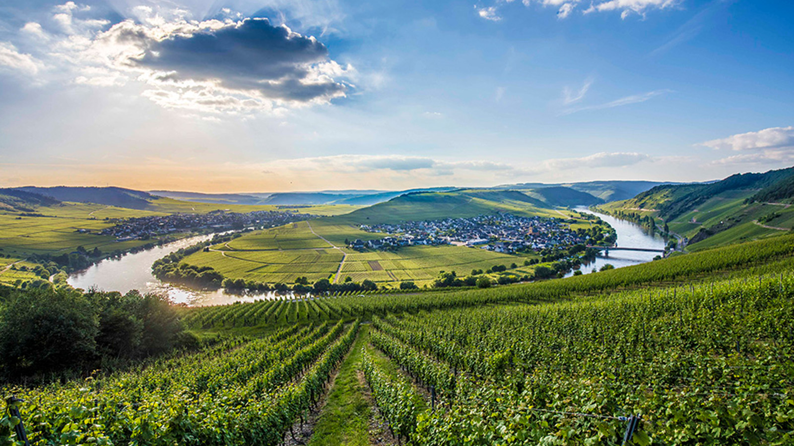 Rhen - Mosel i Tyskland 8 dagar